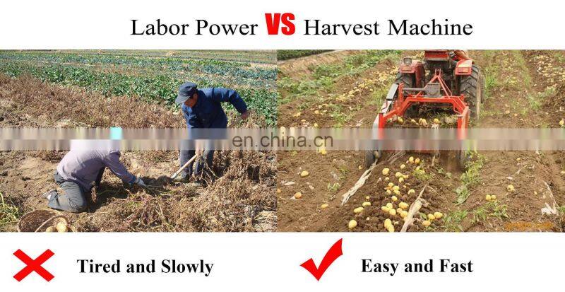 Tractor mounted Peanut / Carrot / Cassava / Garlic / Ginger / Single Row Potato Harvester Machinery Small Sweet Potato