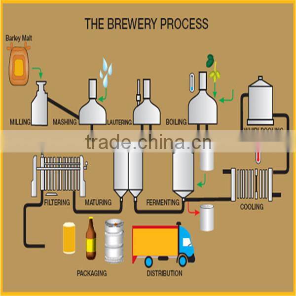 1000l large/micro stainless steel beer brewing system