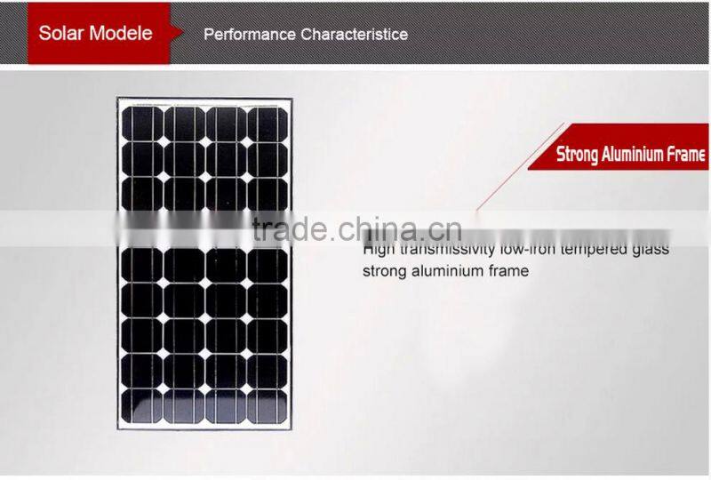 80W MONO SOLAR PANEL