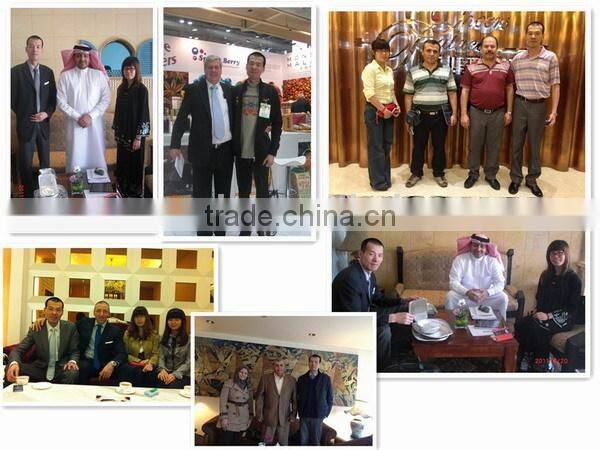 Recyle Disposable Container