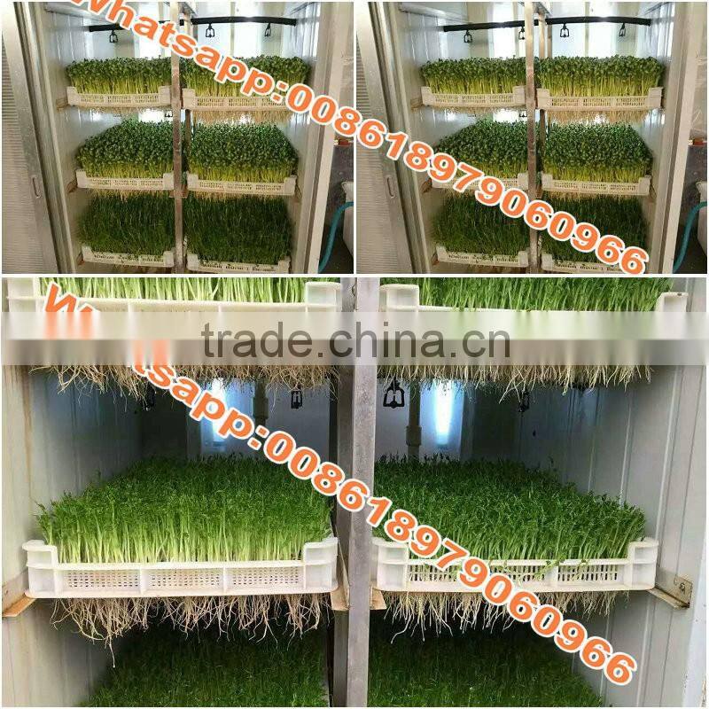 WHIR Saudi Arabia with SASO certificate hydroponic hydroponics cultivation for growing fodder grass,barley,wheat