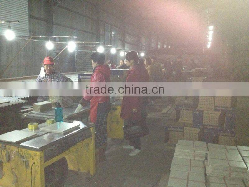 300*300mm Glazed Rustic Ceramic Tile for Interior Floor