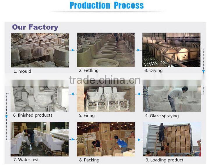 color ceramic squat toilet dual flush