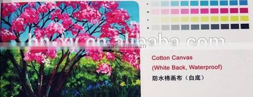 Waterproof Cotton Canvas Matt 380gsm 10S*10S white back Digital eco-solvent pigment Dye