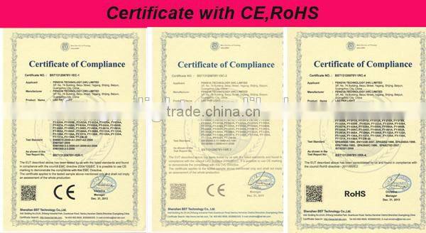 battery powered dmx led par can light