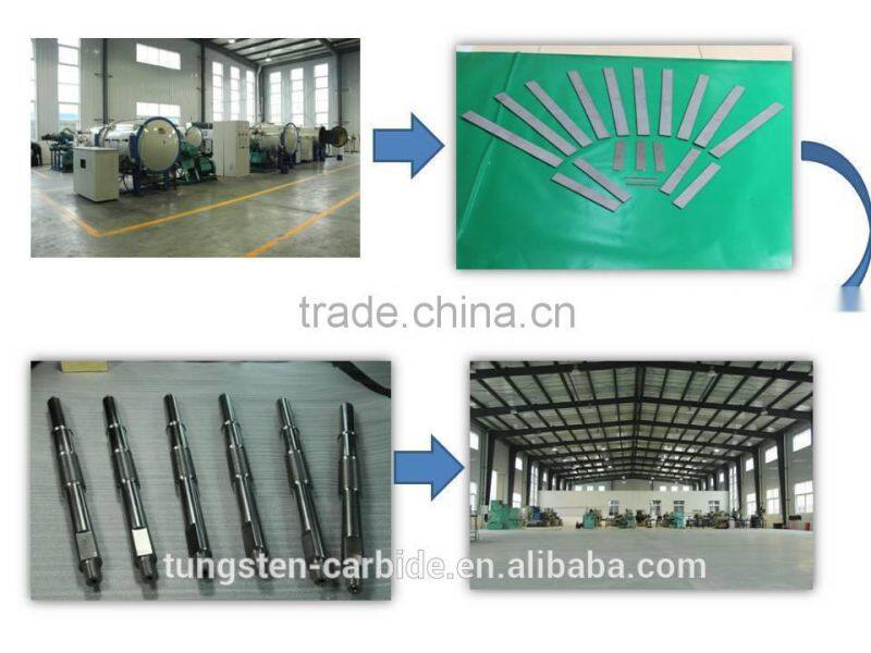 Customized tungsten carbide /silicon carbide mechanical seal rings for oil pumps /oil industry