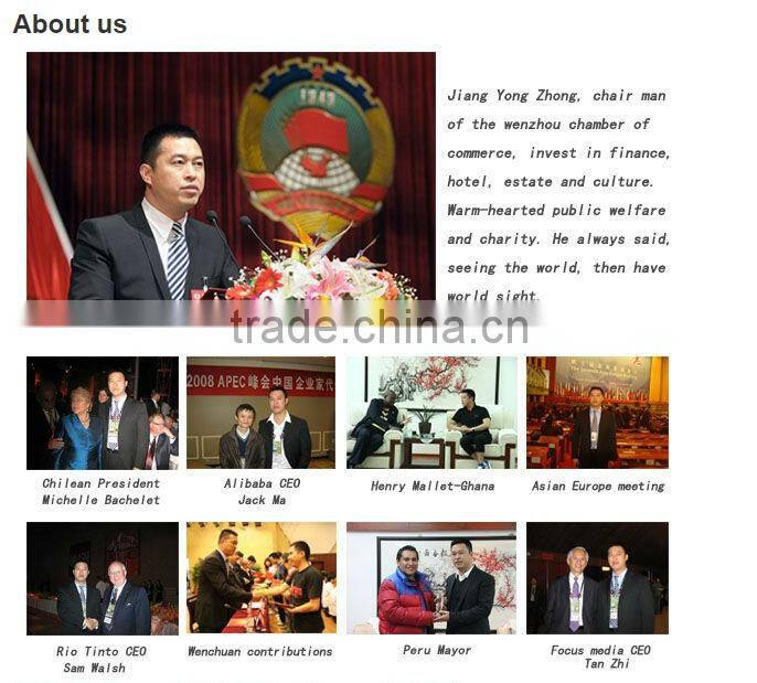 Company Information Hot Sell Fashion Silver Alloy Necklace/ Gold Alloy Necklace