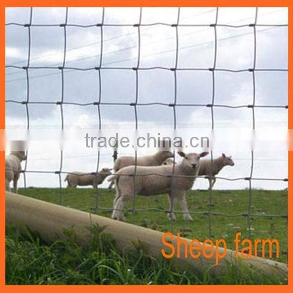 2017 Top Quality Cattle / sheep/deer /animal fence