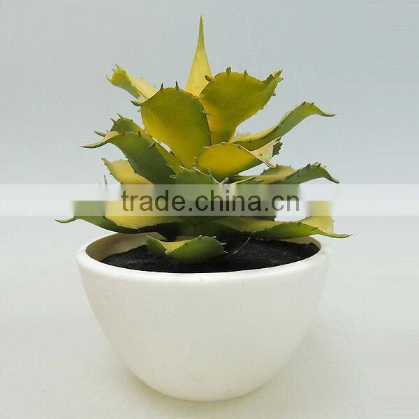 new model small ceramic pot plants for office decorating