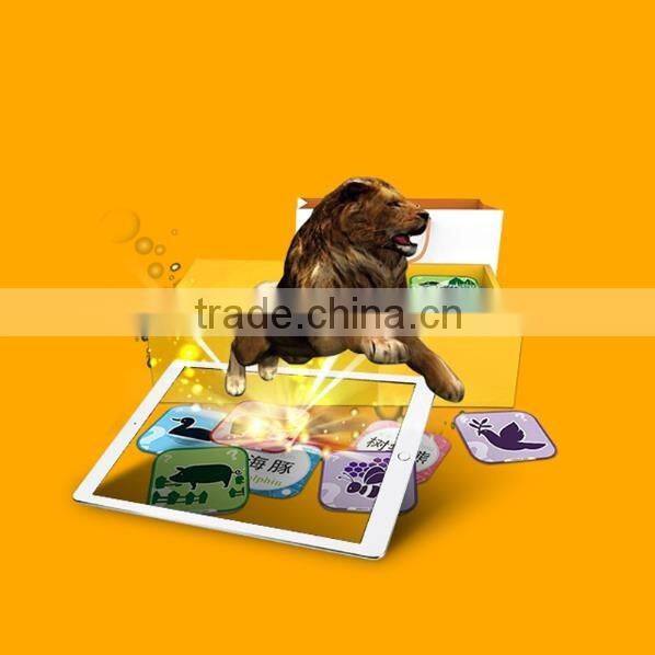 NeoBear AR PopUp Zoo Set with 96 flash cards -- excellent education toy for all kids