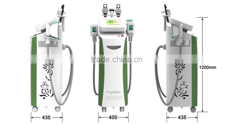 NEWS! Sales Promotion professtional 2 hand pieces Cryolipolysis cryo liposuction machine