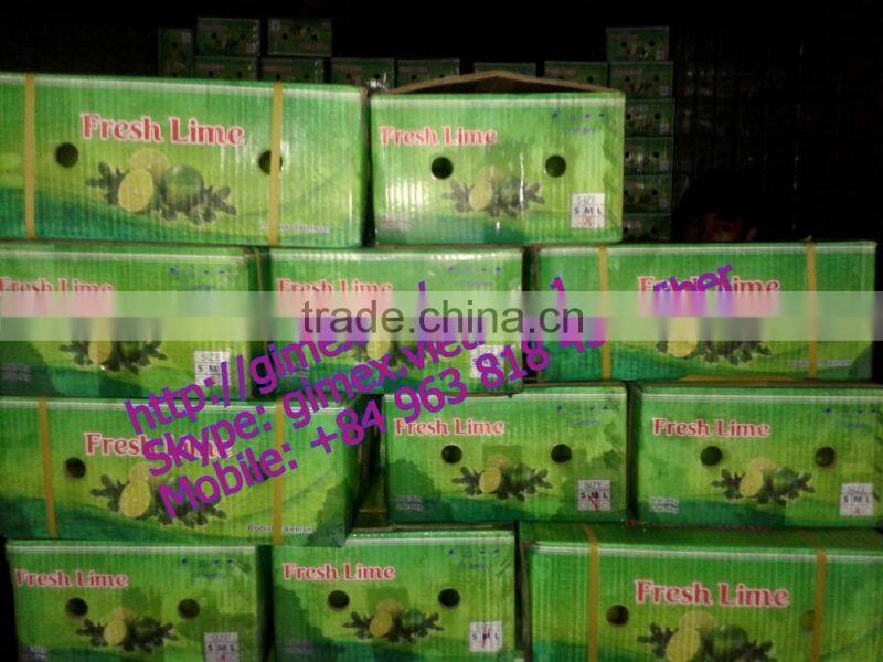 fresh lemon high quality seedless Gimex 2015