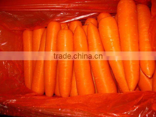 Chinese fresh carrot