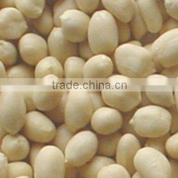 crop new natural red skin peanut kernel natural type 40-50