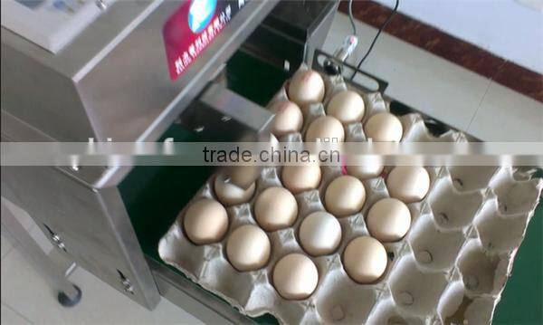 2017 new egg stamp printer/egg date logo stamping machine/eggs stamping machine