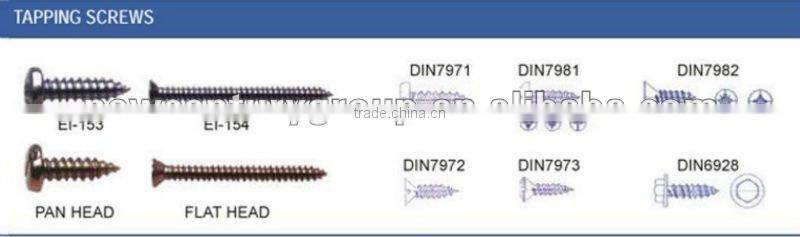 self tapping screw with all kinds of head and sizes
