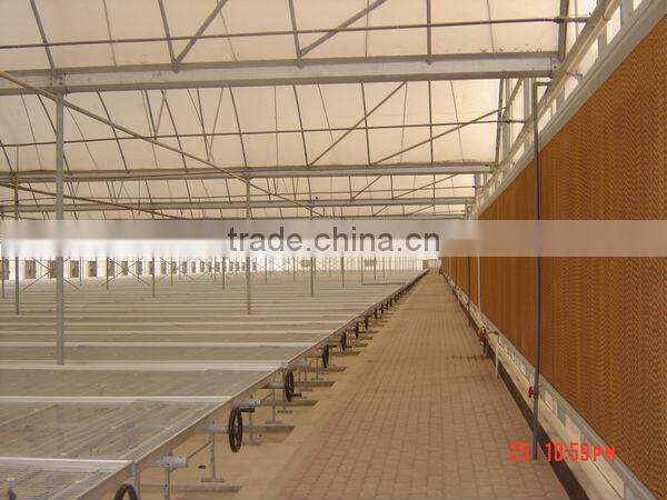 Agricultural Plastic Film Arch Greenhouse