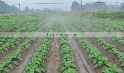 Plastic molding machine for labyrinth drip irrigation tape machine