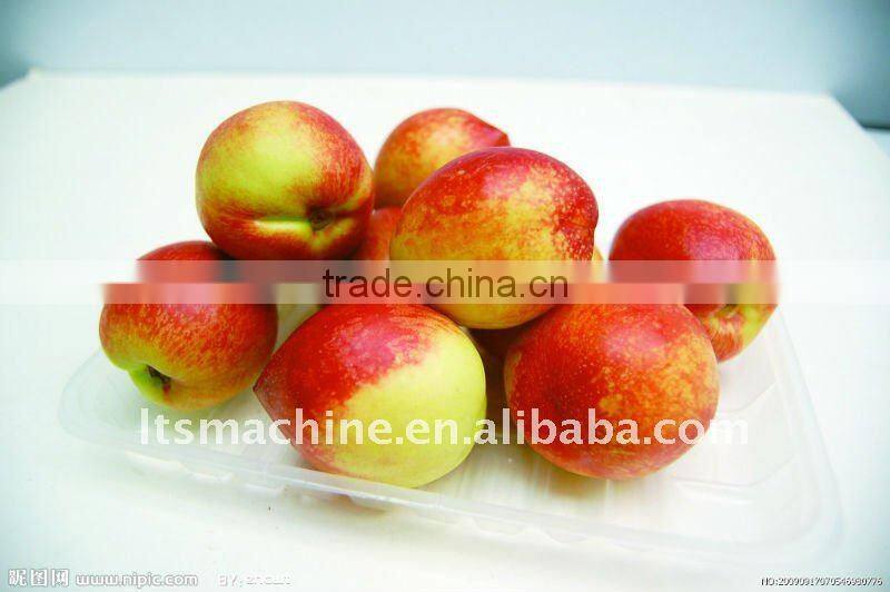 FGX-Z Vertical Fruit Grading Machine