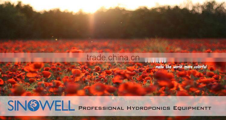 Factory Direct Supply Wholesale Price 315w Ceramic Metal Halide CDM Lamp