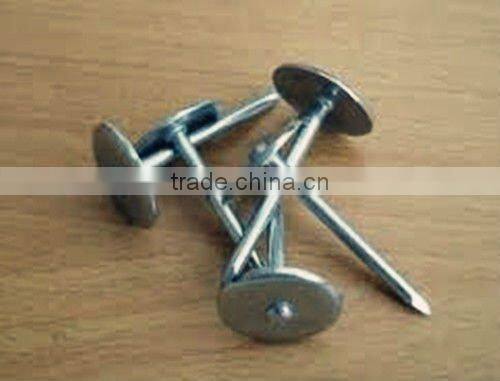 Shoe Tack Nails-Hebei China Supply Best Quality and Price