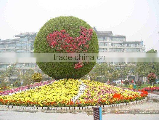 SOL 2015 beautiful ball planter garden ball planter flower ball planter