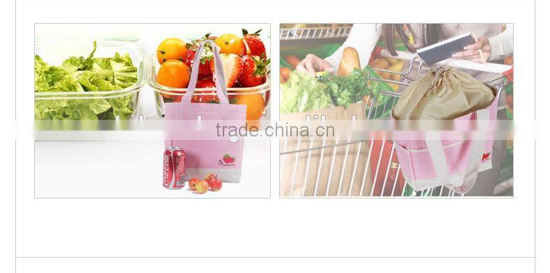2015 New products trendy Insulated Cooler Bags for frozen food