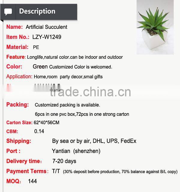 Artificial mini aloe little plants succulents plants artificial mini succulents