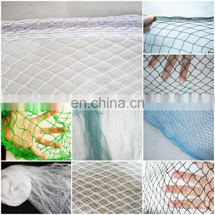 Monofilament PE anti bird net for catching bird
