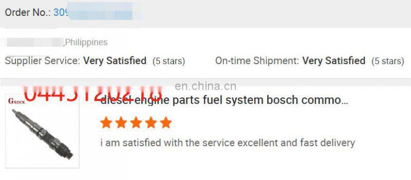 Euro II fuel pump oil pump 612600080799 612600080343 614080719 for WD615 WP10