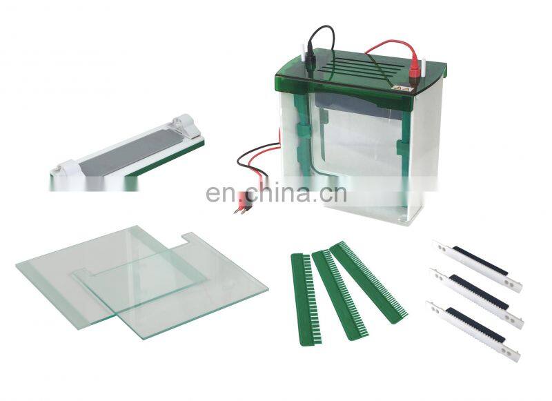 Vertical Type Gel Electrophoresis With Good Price