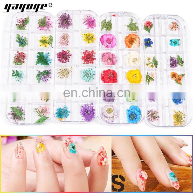 Dry Flower Nail Digit Nail And Smart Flower Printer