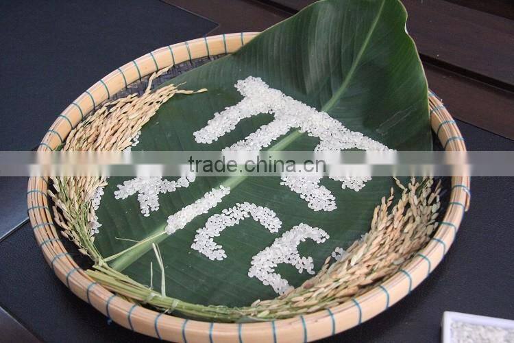 Vietnam ST20 Fragrant Rice