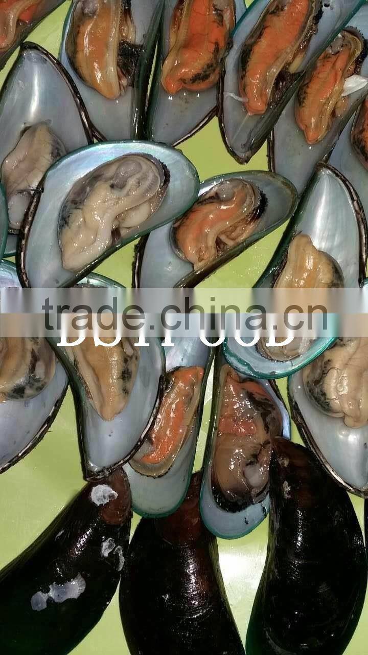 frozen green mussel