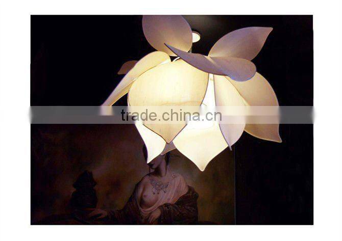 Chinese antique computer light