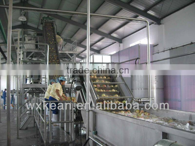 Turnkey project automatic peach puree/jam production machinery include washing,stoning,crushing,pulping machine