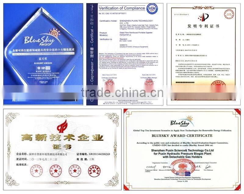 3kw gas generator for biogas plant