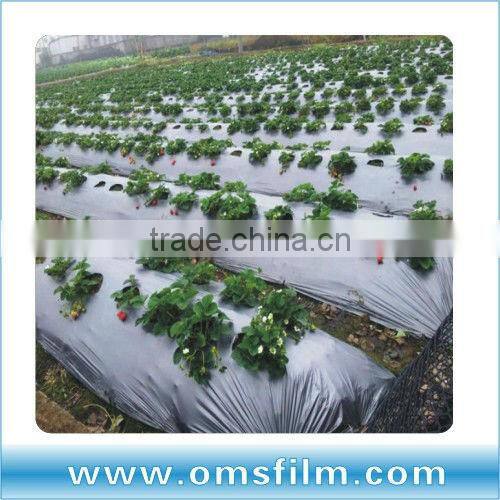 Silver on black mulch film, Silver mylar film