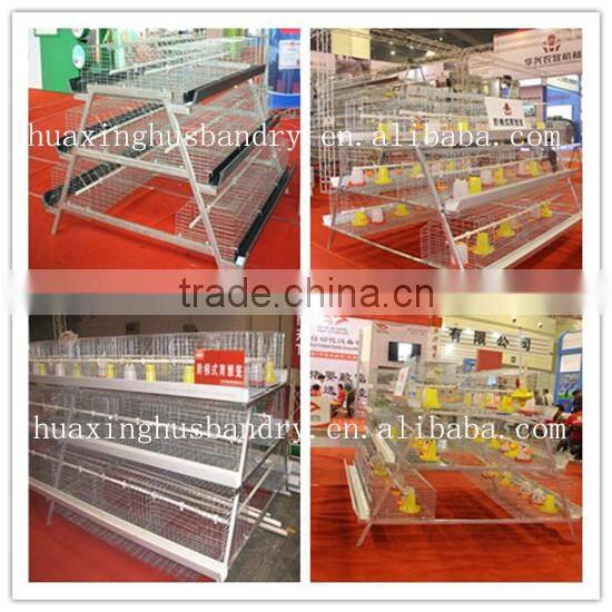 Poultry chicken cage including installation and after-sale service for sale