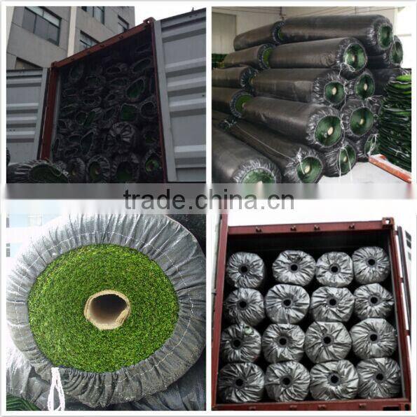 natural olive grass factory directly with good price
