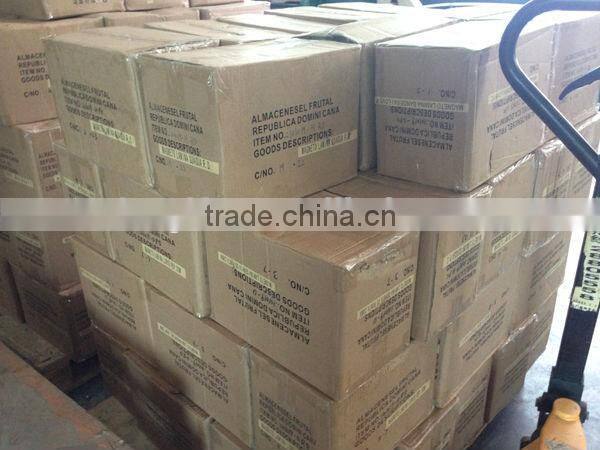 Polyresin Photo Frame With Lizard Decorative