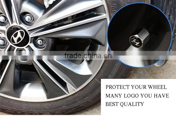 Anti Theft Valve Dust Cap