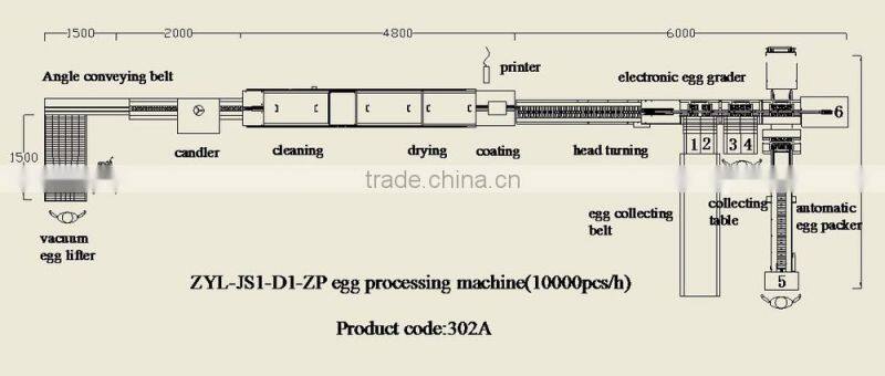 China Shenzhen stainless 10000pcs/h egg processing equipment for sale