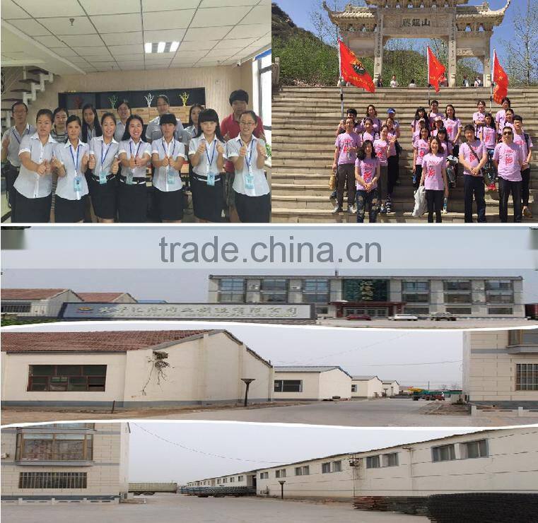 Roofing Nail factory 3 inch electro galvanized twisted shank