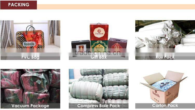 Factory sale blanket and super soft raschel blanket for adults.