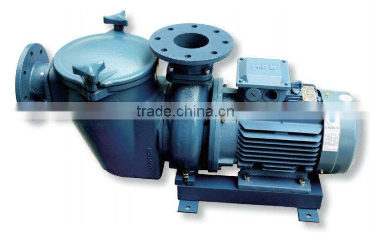 pool pump / swimming pool system