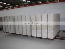 Dongyue Group Sand Lime Solid Brick Plant Project(APB production line)