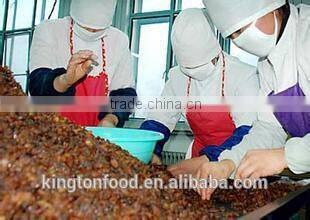 taste sweet and seedless dried red raisin