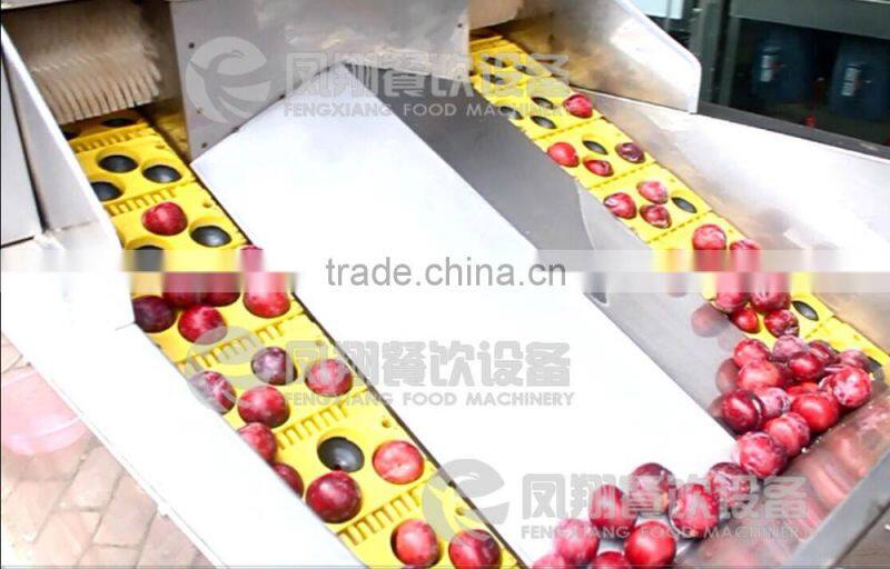High Quality Plum Stoner, Plum Pitter, Plum Corer with CE certificated