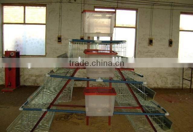 The Chicken Breeding Cage